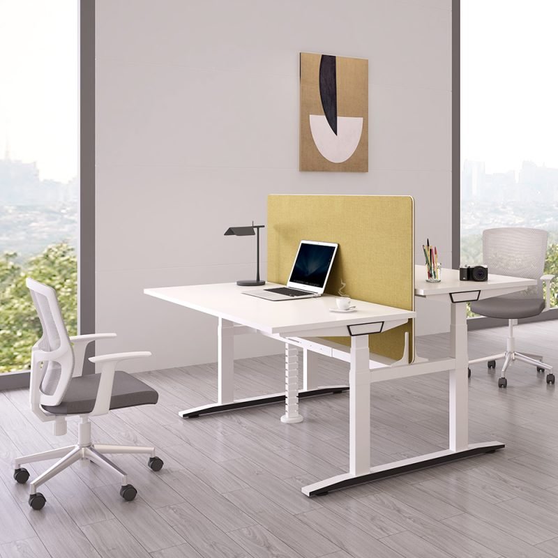 Workstation Electric height adjustable desk