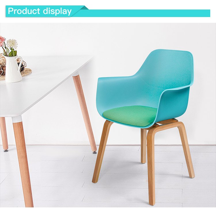 Plastic Leisure Chair