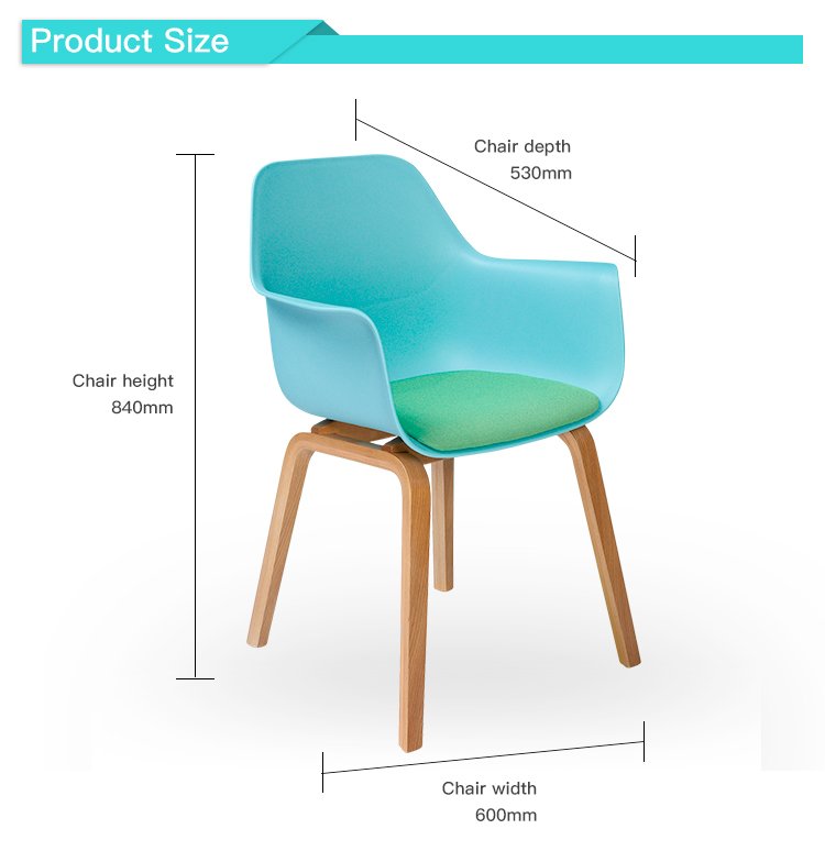 Plastic Leisure Chair