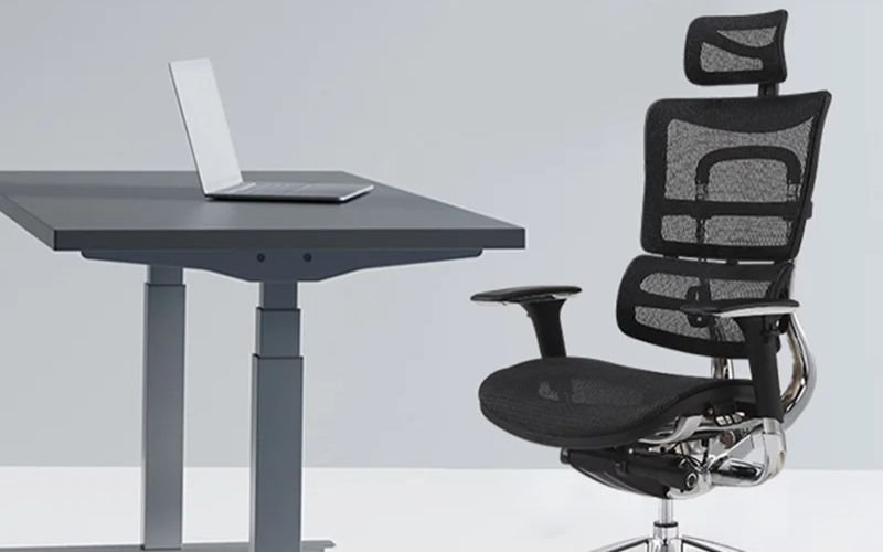 High End Ergonomic Mesh Office Executive Chair