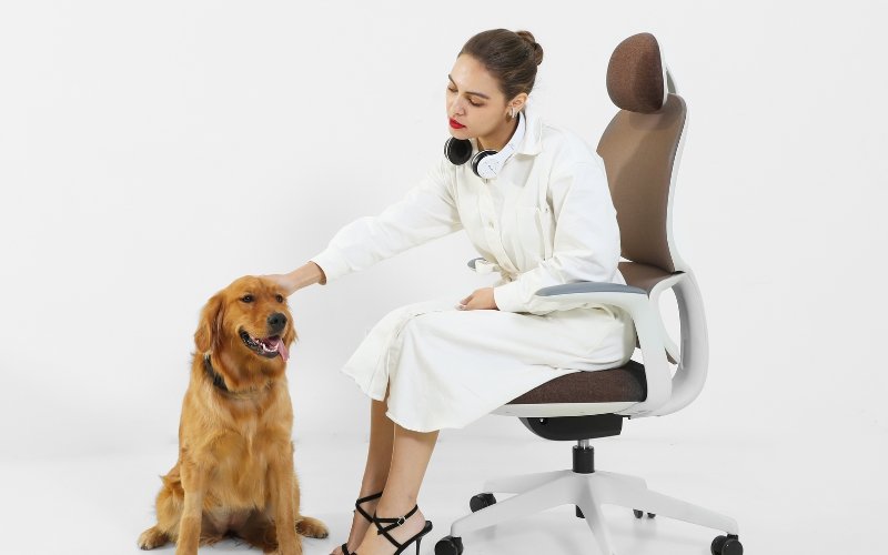 Best Chair For Sitting All Day