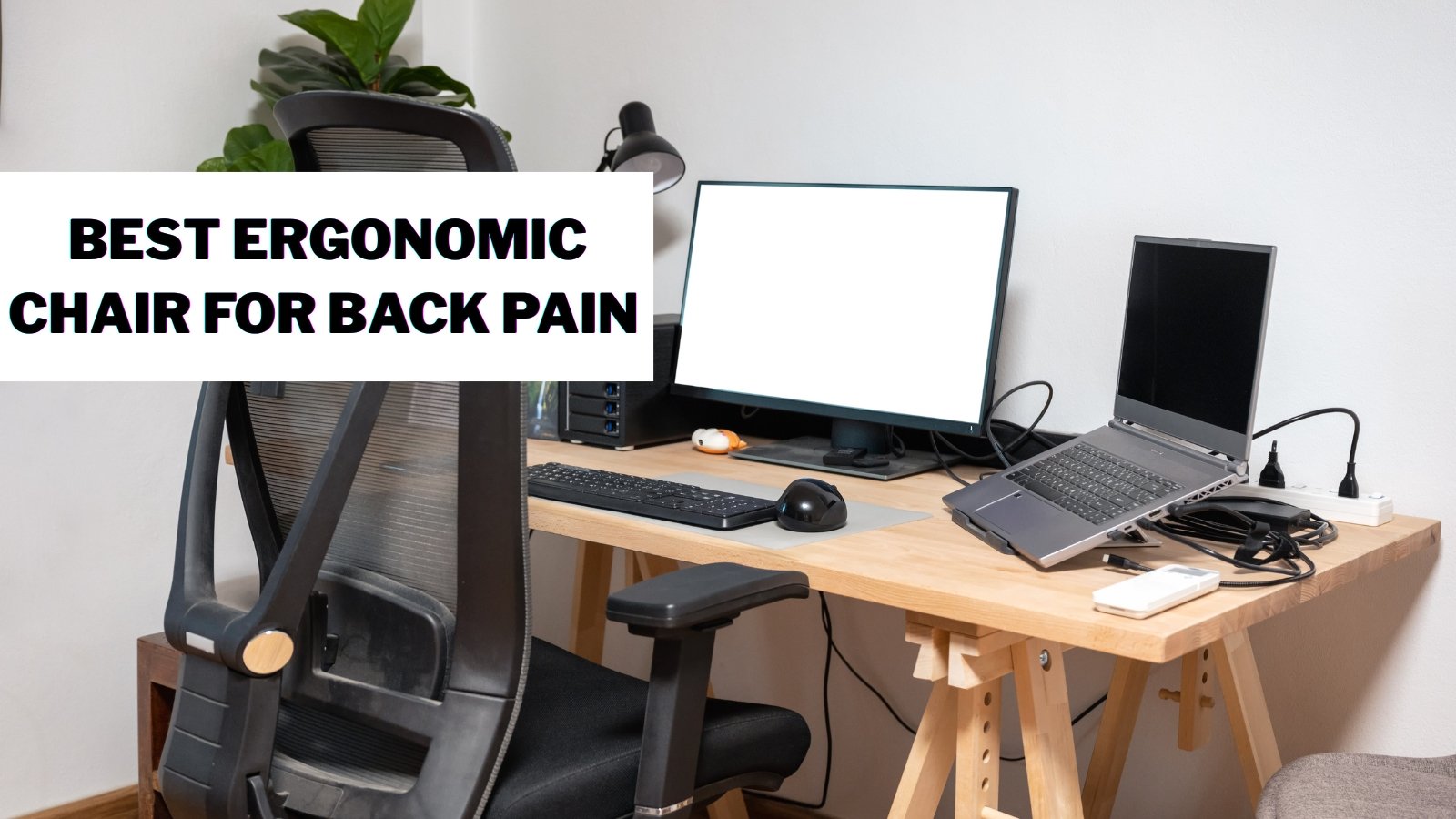 Best Ergonomic Chair For Back Pain