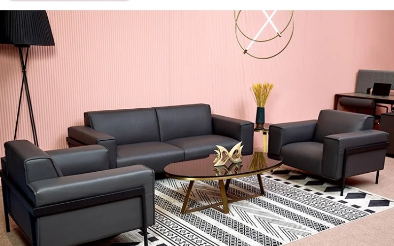 Pet friendly leather couch