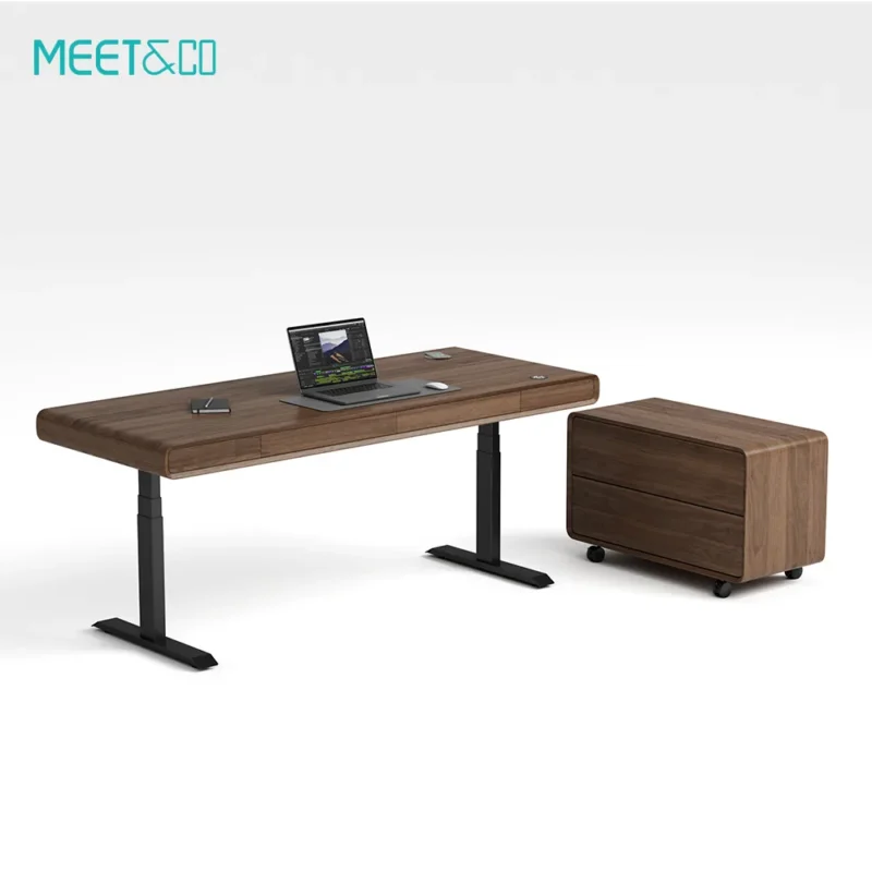 SENDI E Standing Desk Gallery 2