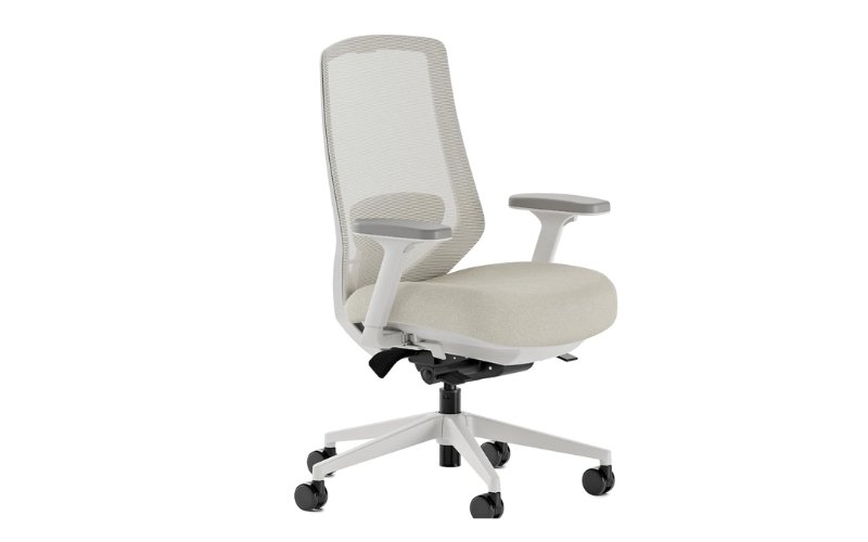 Branch Ergonomic Chair Pro