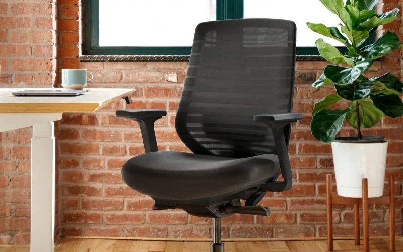 Branch Task ergonomic chair for home office with tall backrest and adjustable lumbar support