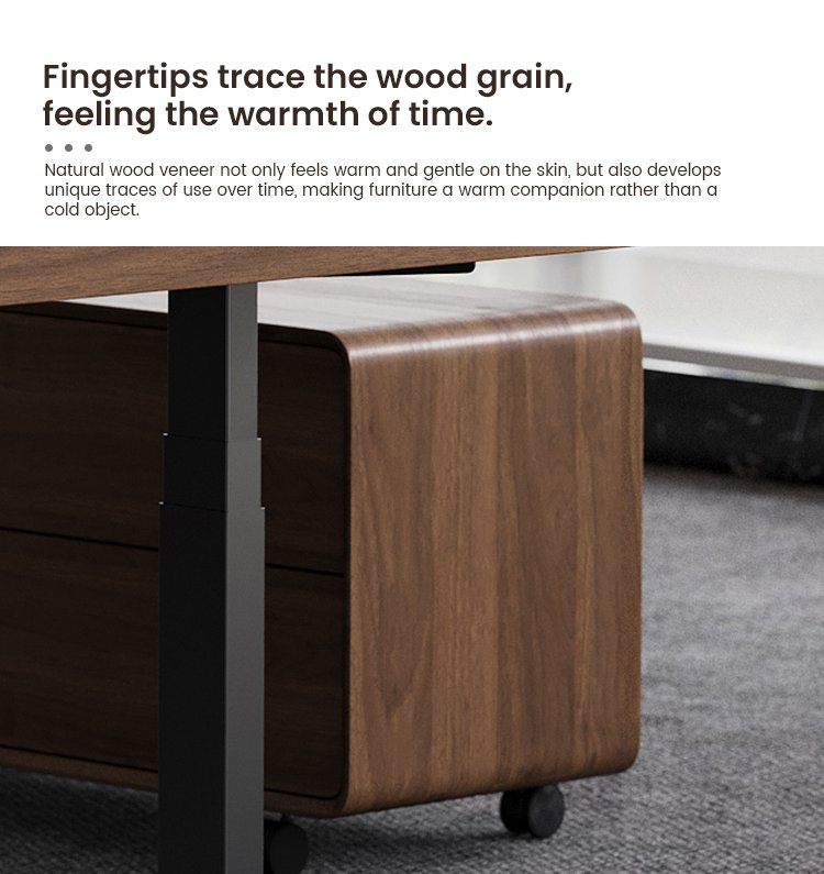 SENDI E Mobile Cabinet Features 3