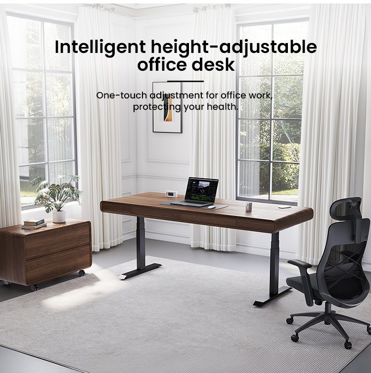 SENDI E Standing Desk Feature 1