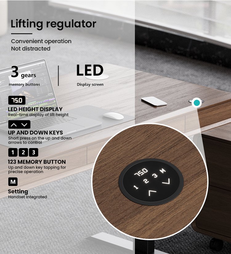 SENDI E Standing Desk Feature 3