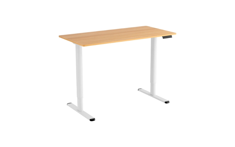 Who Should Buy an Artiss Standing Desk?