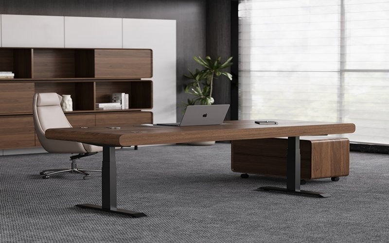 SENDI E Standing desk vs Vivo standing desk frame review